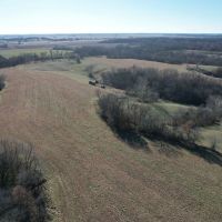Secluded Hunting CRP Tract 82 Acres Morgan County Illinois images 5