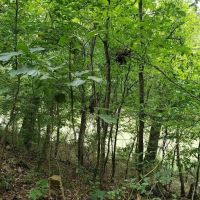 KIAMICHI RIVER FRONTAGE images 5
