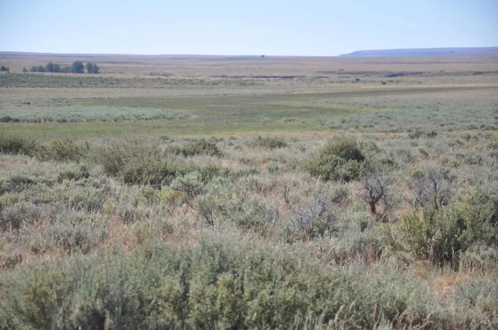 Pole Creek Ranch featured image