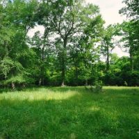 Hunting Haven on the Ocmulgee river images 4