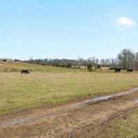 529 Acre Riverfront Resort images 4