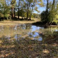 529 Acre Riverfront Resort images 5