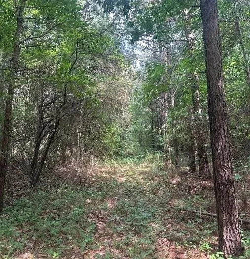 19 Acres in Smith County in Polkville MS featured image