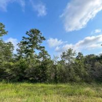 183 Acres FM 2989 T-271004-2 images 5