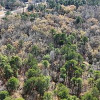 For Sale 14.83 Acres of Opportunity in Grimesland NC images 2