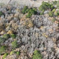 For Sale 14.83 Acres of Opportunity in Grimesland NC images 4