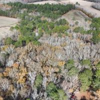 For Sale 14.83 Acres of Opportunity in Grimesland NC images 5