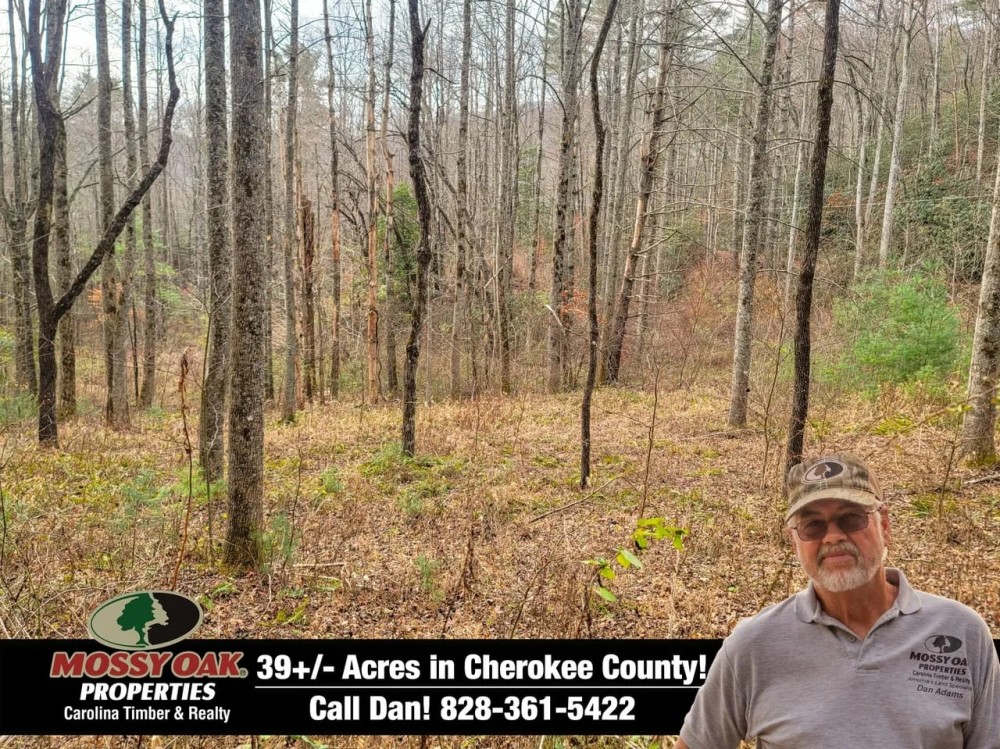 39.06 - Unrestricted Acres with USFS Boundary featured image