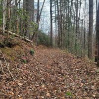 39.06 - Unrestricted Acres with USFS Boundary images 5