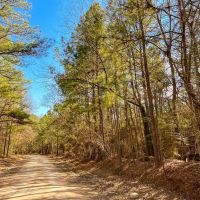 36 Acres Paces Creek T3077-15