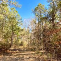 36 Acres Paces Creek T3077-15 images 2