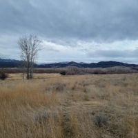 59 Upper Valley Road…Boulder River Paradise images 5