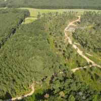 86 Acres with a Camp in Choctaw County MS
