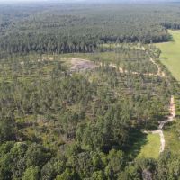 86 Acres with a Camp in Choctaw County MS images 3