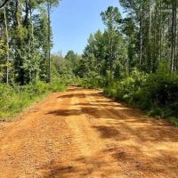 86 Acres with a Camp in Choctaw County MS images 5