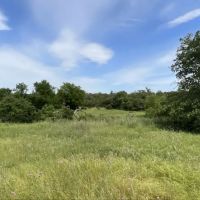 Crouch Ranch on Vista Mountain images 2