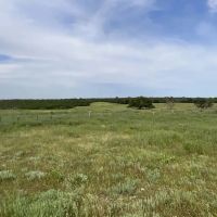 Crouch Ranch on Vista Mountain images 5