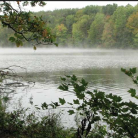 Barkcamp State Park 1005 Acres of Turkey Hunting in Belmont, OH images 5