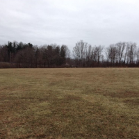 Barkcamp State Park 1005 Acres of Turkey Hunting in Belmont, OH images 4