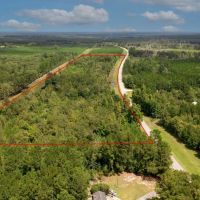 Screven County 22 Acres