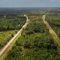 Screven County 22 Acres images 2