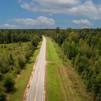 Screven County 22 Acres images 3