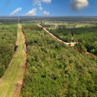 Screven County 22 Acres images 5