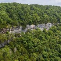 Riverfront Property in Northwest Arkansas images 4