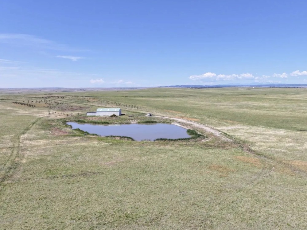 Li Ranch featured image