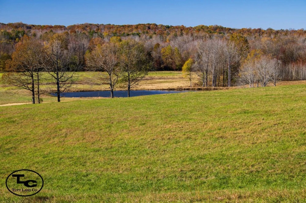 110.06 acres - Madison County TN - Bear Creek Farm featured image