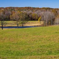 110.06 acres - Madison County TN - Bear Creek Farm