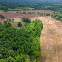 110.06 acres - Madison County TN - Bear Creek Farm images 2