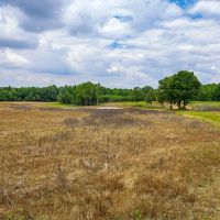 110.06 acres - Madison County TN - Bear Creek Farm images 3
