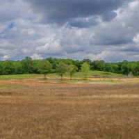 110.06 acres - Madison County TN - Bear Creek Farm images 4