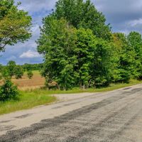 110.06 acres - Madison County TN - Bear Creek Farm images 5