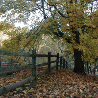 27,22 Acres Beaver Creek State Park of Squirrel Hunting in Columbiana , OH images 3