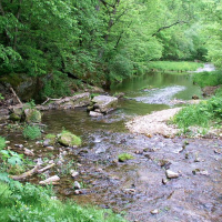 27,22 Acres Beaver Creek State Park of Squirrel Hunting in Columbiana , OH images 2