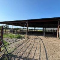 Kingston Cattle Ranch 750 images 2