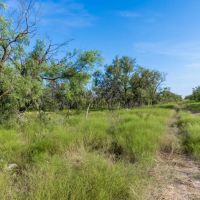 El Zopilote Ranch images 3