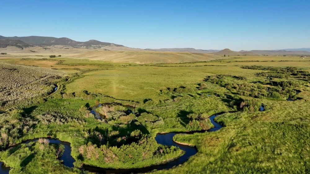 Needle Creek Ranch featured image