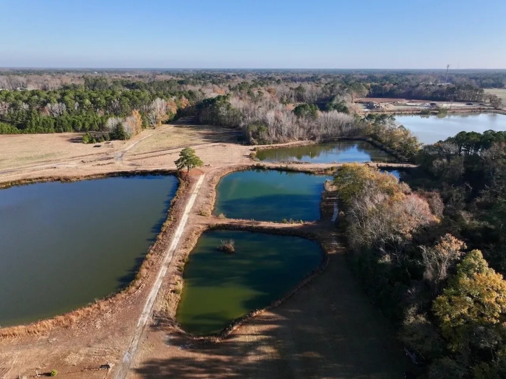 17.5 acres of Pasture and Timber Land with multiple Ponds For Sale just outside Washington City Limits in Beaufort County NC featured image
