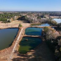 17.5 acres of Pasture and Timber Land with multiple Ponds For Sale just outside Washington City Limits in Beaufort County NC