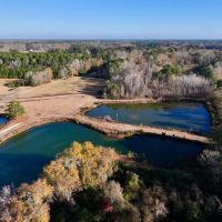 17.5 acres of Pasture and Timber Land with multiple Ponds For Sale just outside Washington City Limits in Beaufort County NC images 3