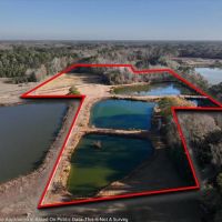 17.5 acres of Pasture and Timber Land with multiple Ponds For Sale just outside Washington City Limits in Beaufort County NC images 4