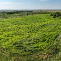 Spurs Furs Ranch images 3