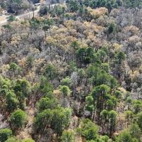 For Sale 14.83 Acres of Opportunity in Grimesland NC images 4