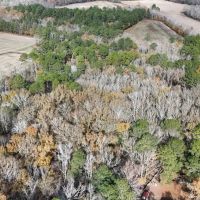 For Sale 14.83 Acres of Opportunity in Grimesland NC images 5
