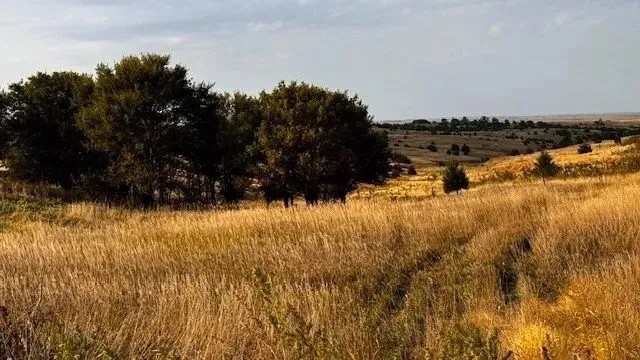 Farmland in Furnas County Nebraska for Sale featured image