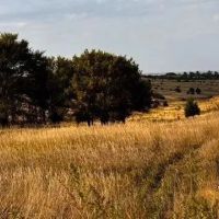 Farmland in Furnas County Nebraska for Sale
