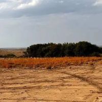 Farmland in Furnas County Nebraska for Sale images 2